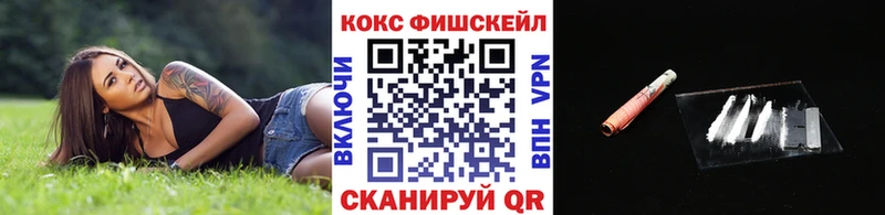 Cocaine Fish Scale  Купить  Кола 