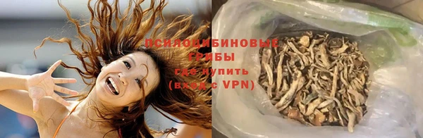 стаф Арсеньев