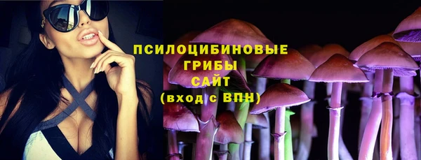 стаф Арсеньев