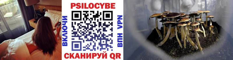 Галлюциногенные грибы GOLDEN TEACHER  Купить где  Кола 