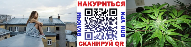 Бошки Шишки план  Купить закладки  Кола 